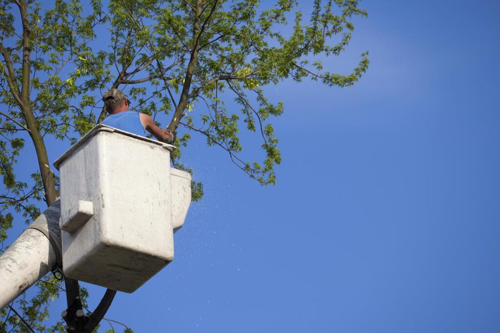 keller-tree-service-pros-emergency-tree-service-2_orig