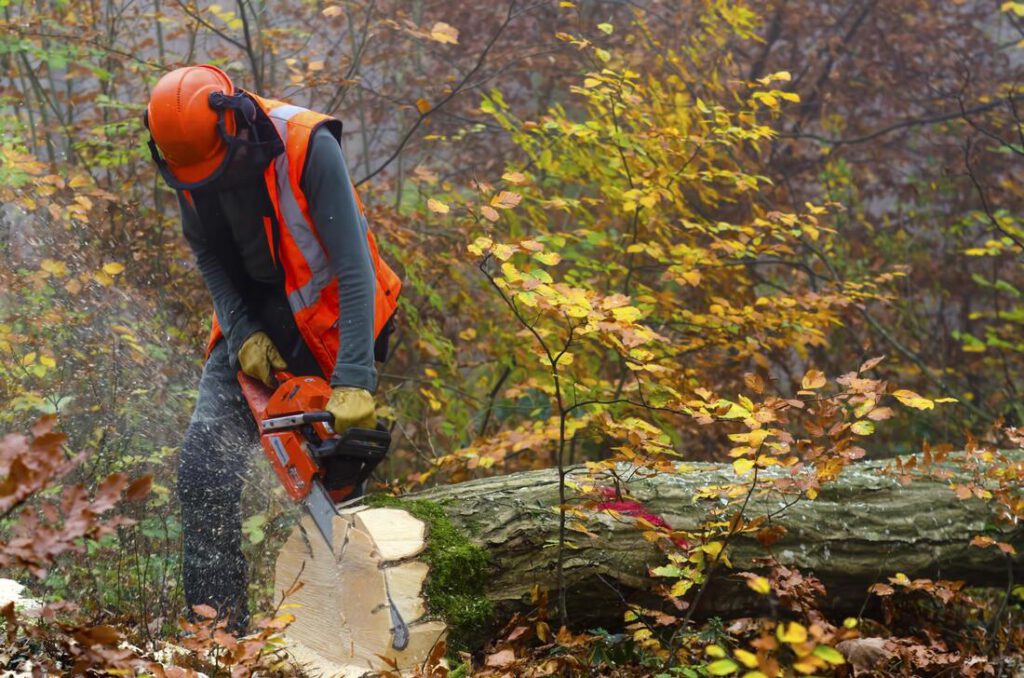 keller-tree-service-pros-tree-removal-disposal-2_1_orig